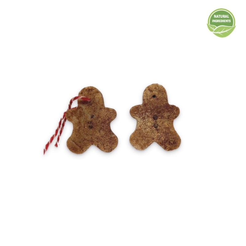 “Gingerbread” Scrub-Soap