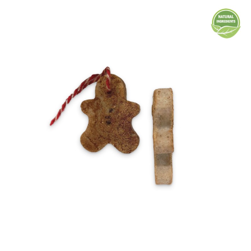 “Gingerbread” Scrub-Soap