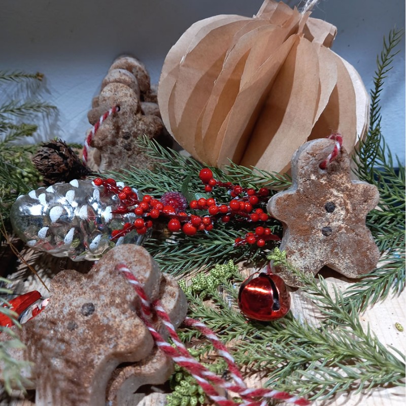 “Gingerbread” Scrub-Soap