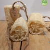 Luffa Sponge
